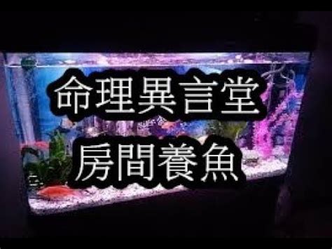 房間養魚